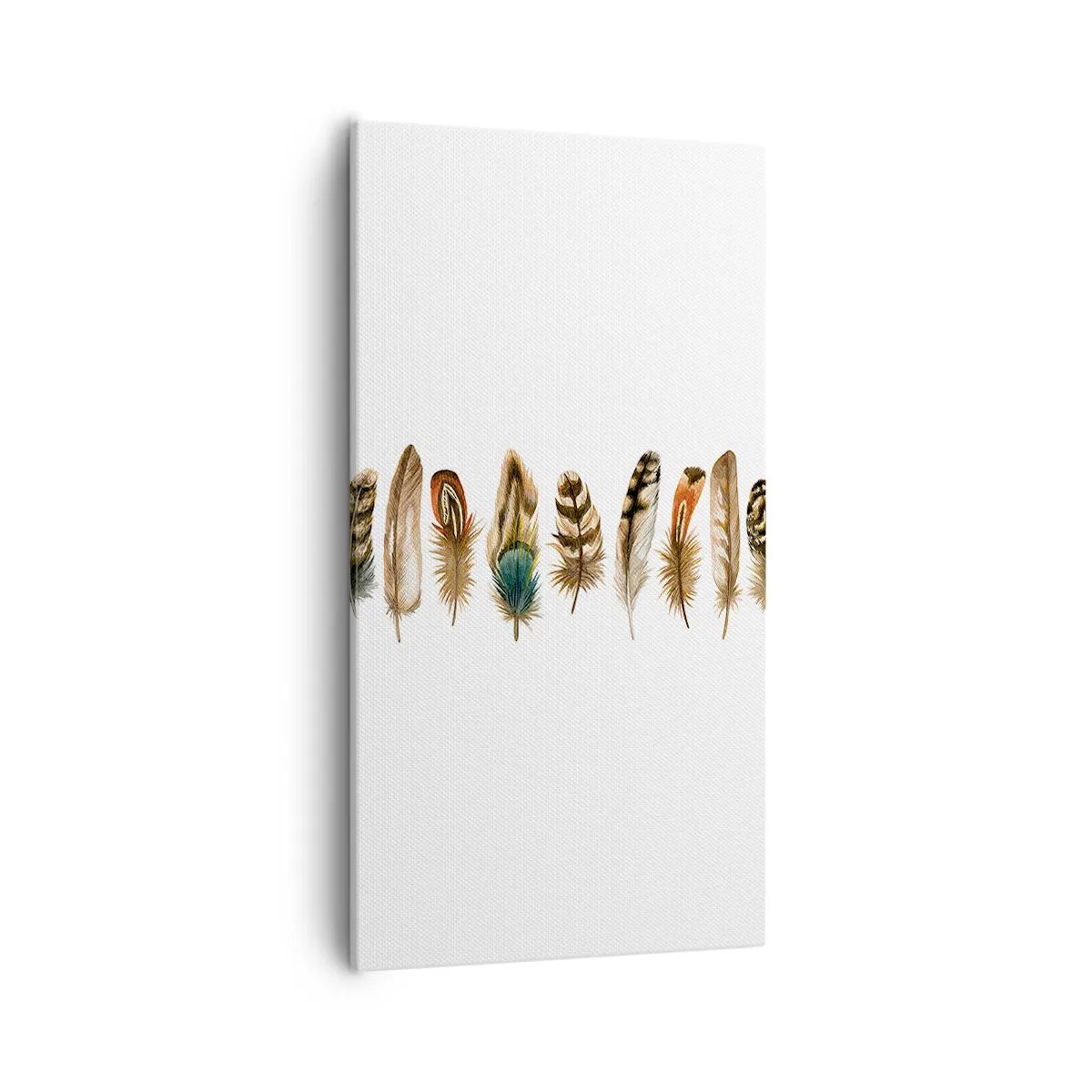 Tablou pe pânză - Variație cu pene - 55x100 cm