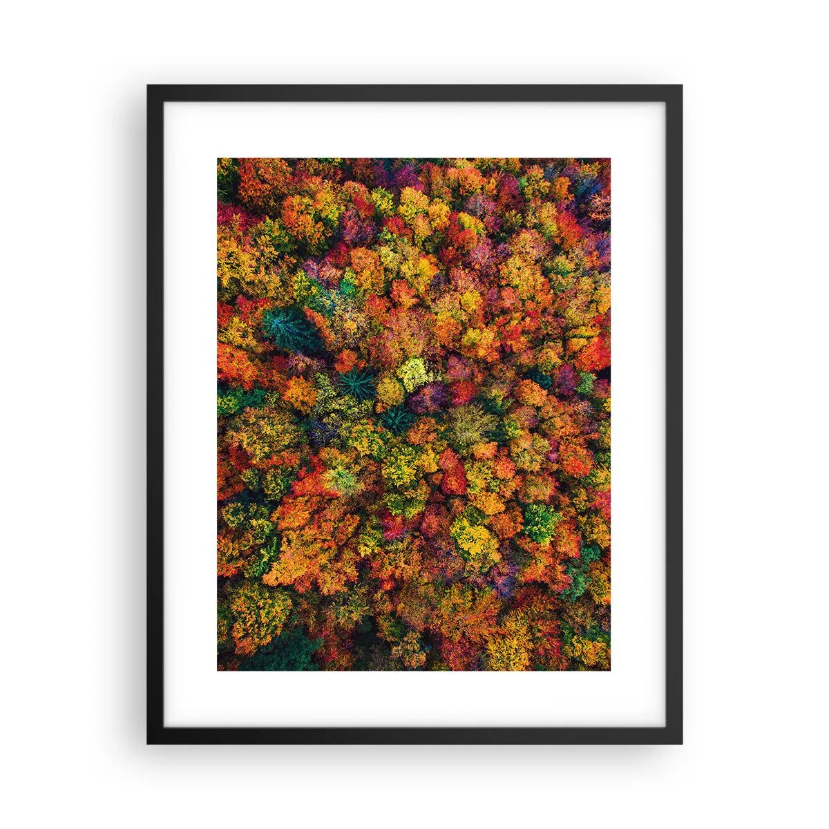 Poster în ramă neagră - Buchet de copaci de toamnă - 40x50 cm