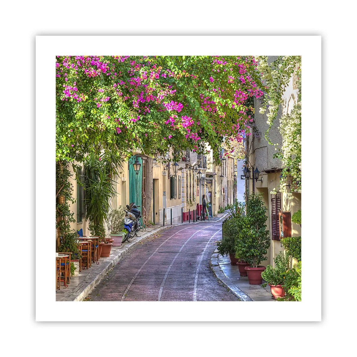 Poster - Alee înfloritoare - 50x50 cm