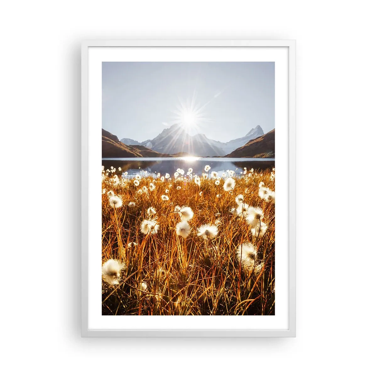 Poster în ramă albă - Duritatea rocilor, moliciunea ierbii - 50x70 cm