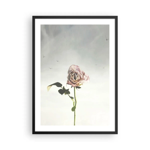 Poster în ramă neagră - Un trandafir subtil pe un cer delicat - 50x70cm - Primăvara binevenită - Decorațiune modernă pentru perete pentru living și dormitor ARTTOR