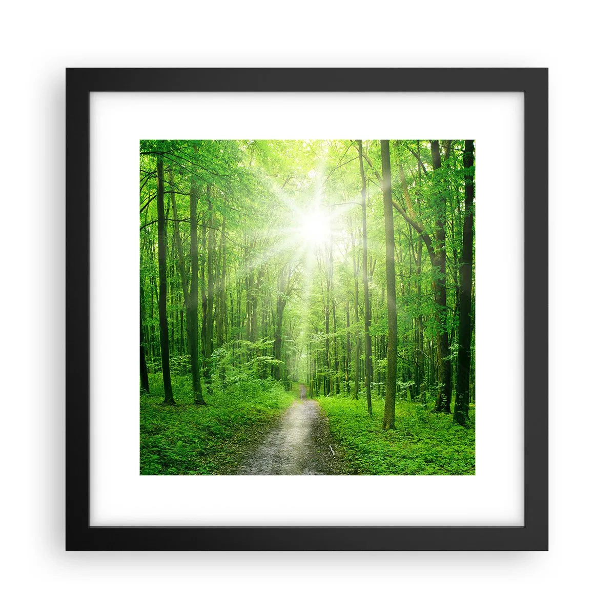 Poster în ramă neagră - Catedrala verde - 30x30 cm