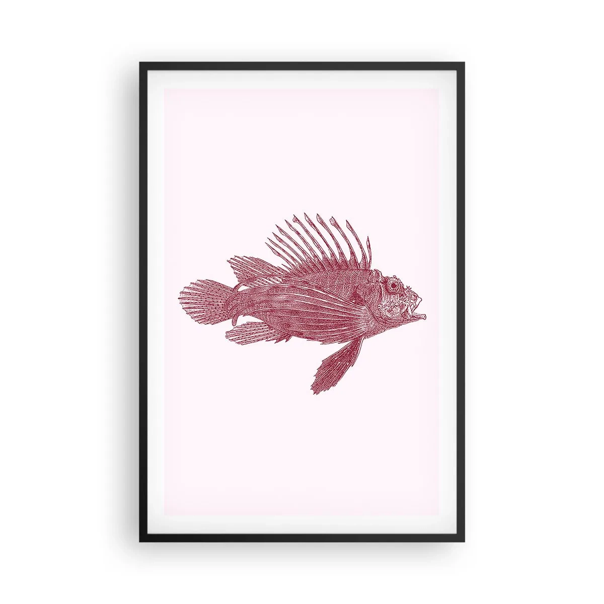 Poster în ramă neagră - Un locuitor al apelor exotice - 61x91 cm