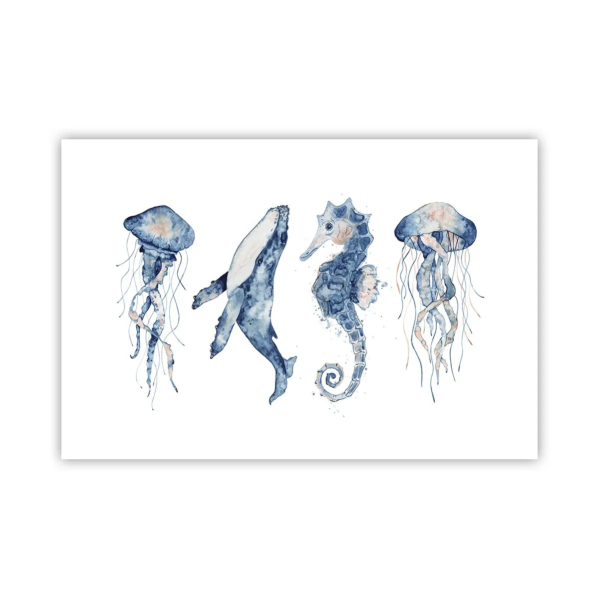 Poster - Fauna marină sălbatică - 91x61 cm