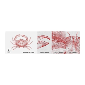 Mostră tapet Premium Canvas - Crab peste crabi - Crab, Fructe de mare, Crustacee - 100x30 cm