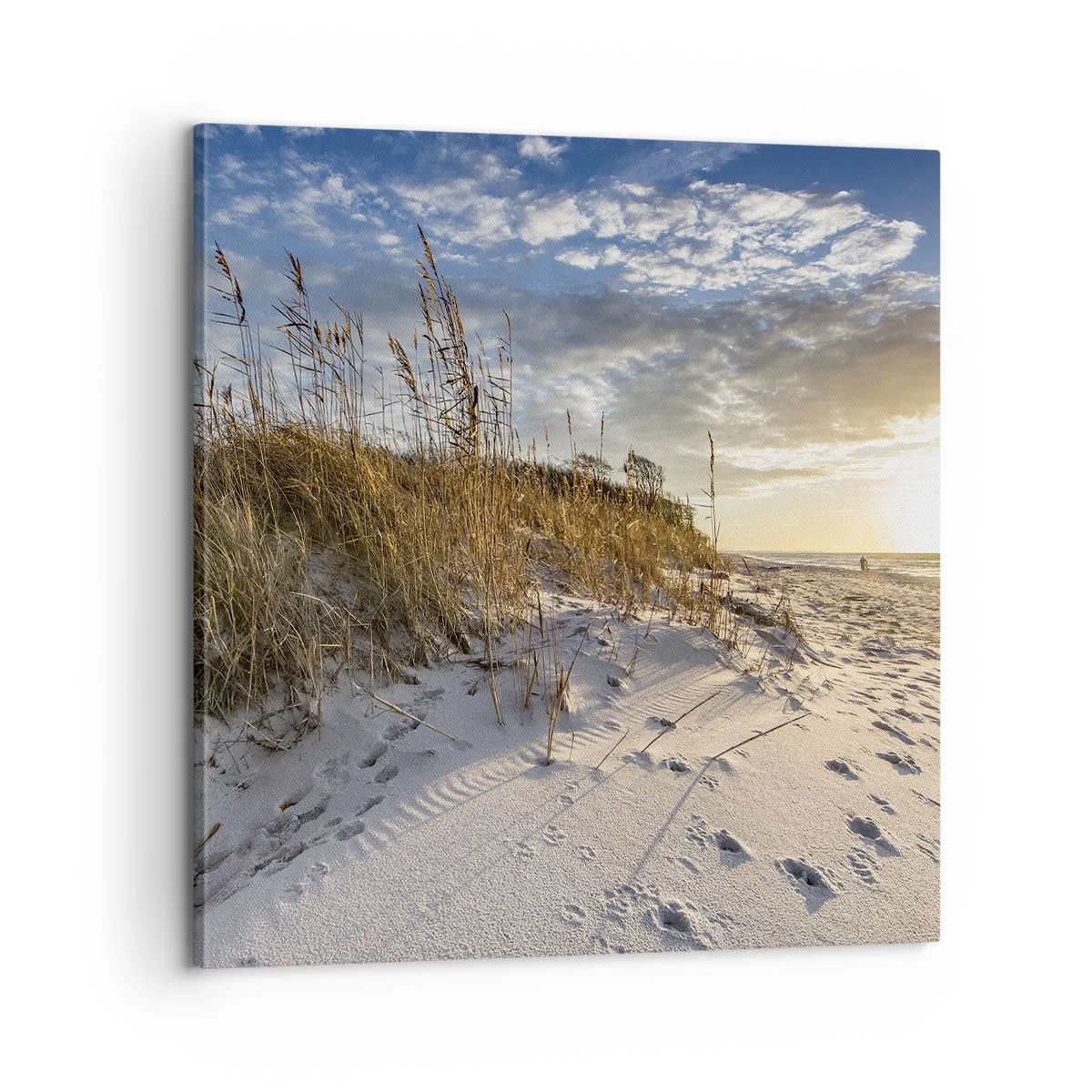 Tablou pe pânză - Invitație la o plimbare - 60x60 cm