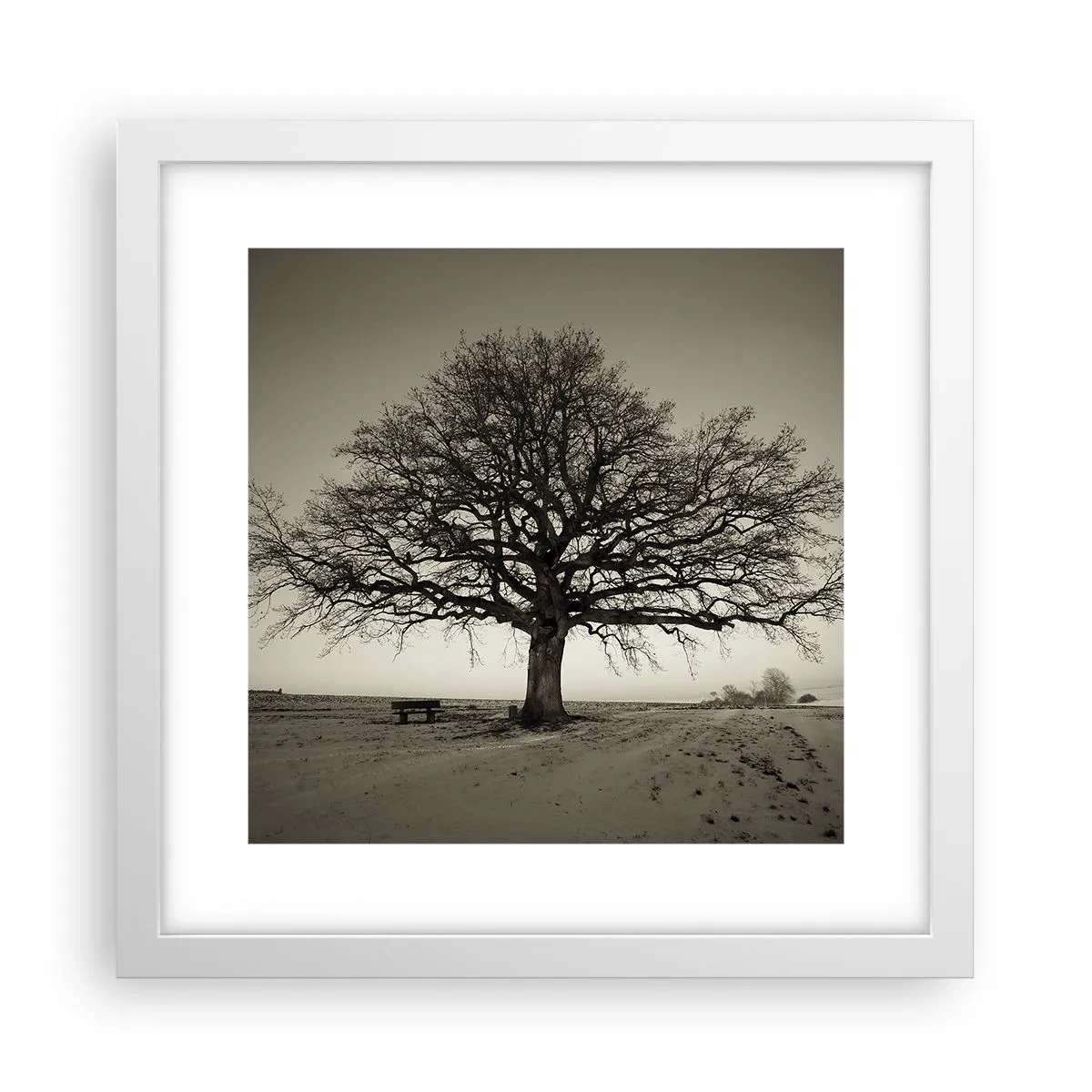 Poster în ramă albă - De aici până în veșnicie - 30x30 cm