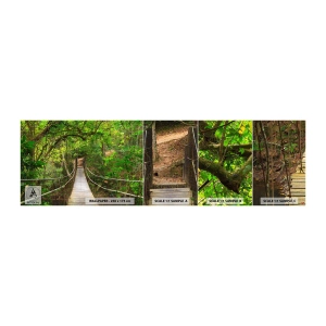 Mostră de Tapet Standard Eco - Pentru că în grădină crește o liană - Peisaj, pădure, Natură - 100x30 cm