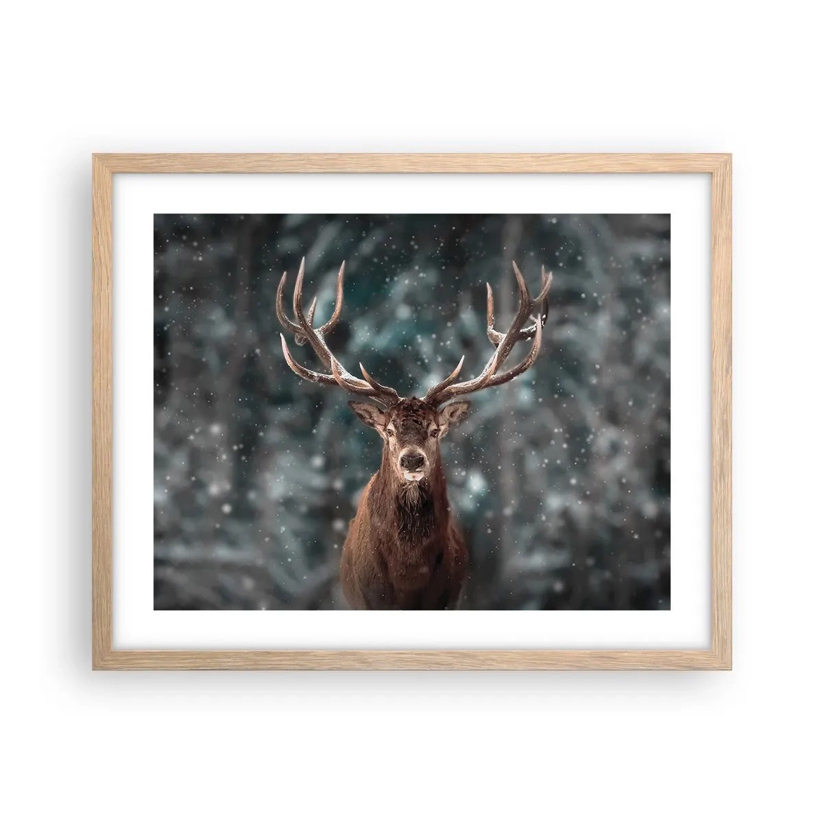 Poster în ramă de stejar deschis - Regele pădurii a fost încoronat - 50x40 cm