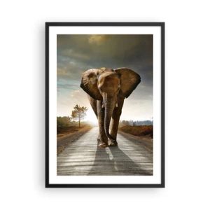 Poster în ramă neagră - Un elefant mergând pe drum la apus - 50x70cm - Și-a pierdut cipicii... - Decorațiune modernă pentru perete pentru living și dormitor ARTTOR