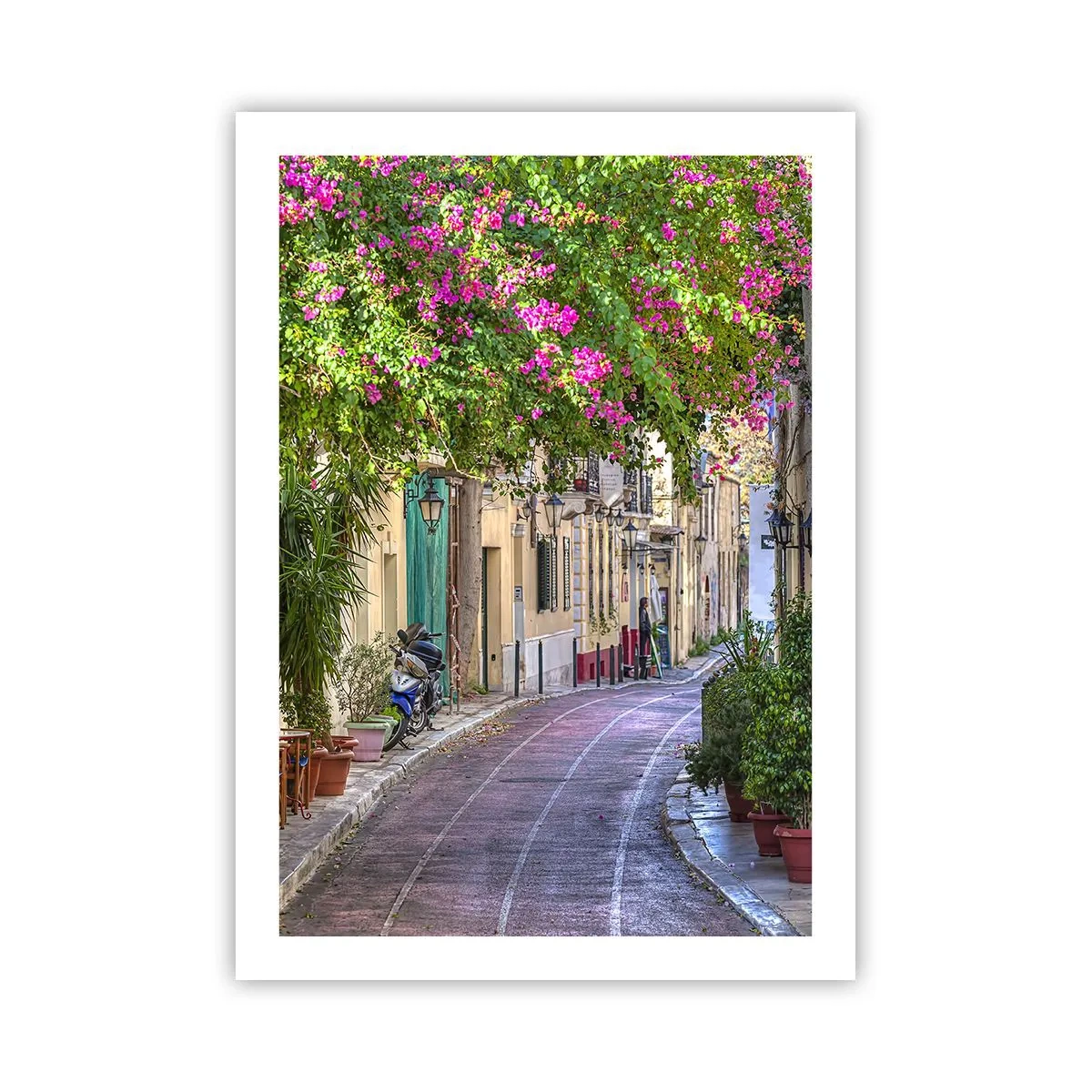 Poster - Alee înfloritoare - 50x70 cm
