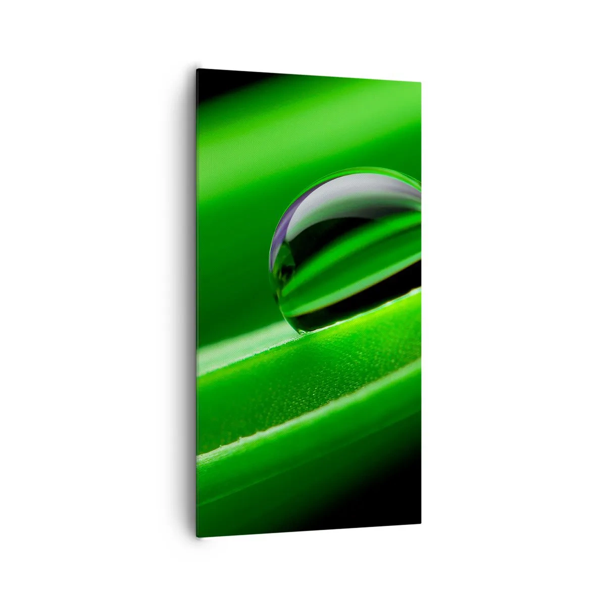 Tablou pe pânză - Viața de aproape - 65x120 cm