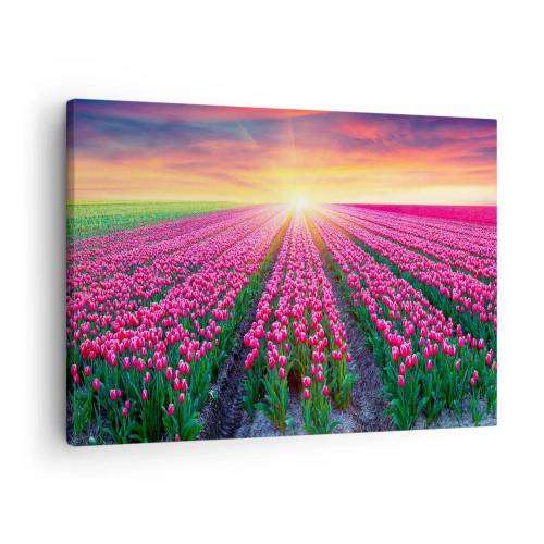 Tablou pe pânză Canvas - Un câmp de lalele la apus - 70x50cm - Ferma de frumusețe - Decorațiune modernă pentru perete pentru living și dormitor ARTTOR