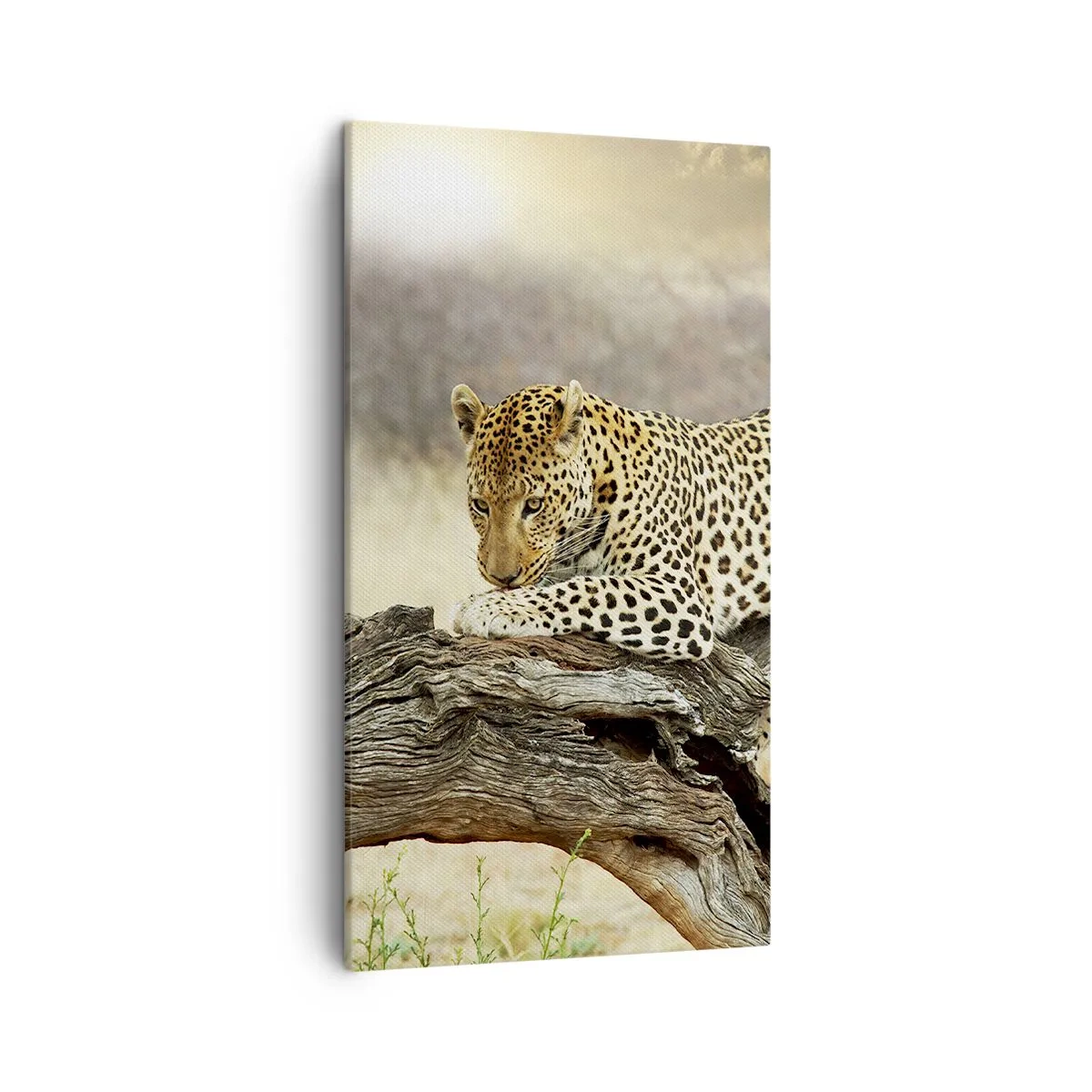 Tablou pe pânză - Mă duc pe drumul meu - 45x80 cm