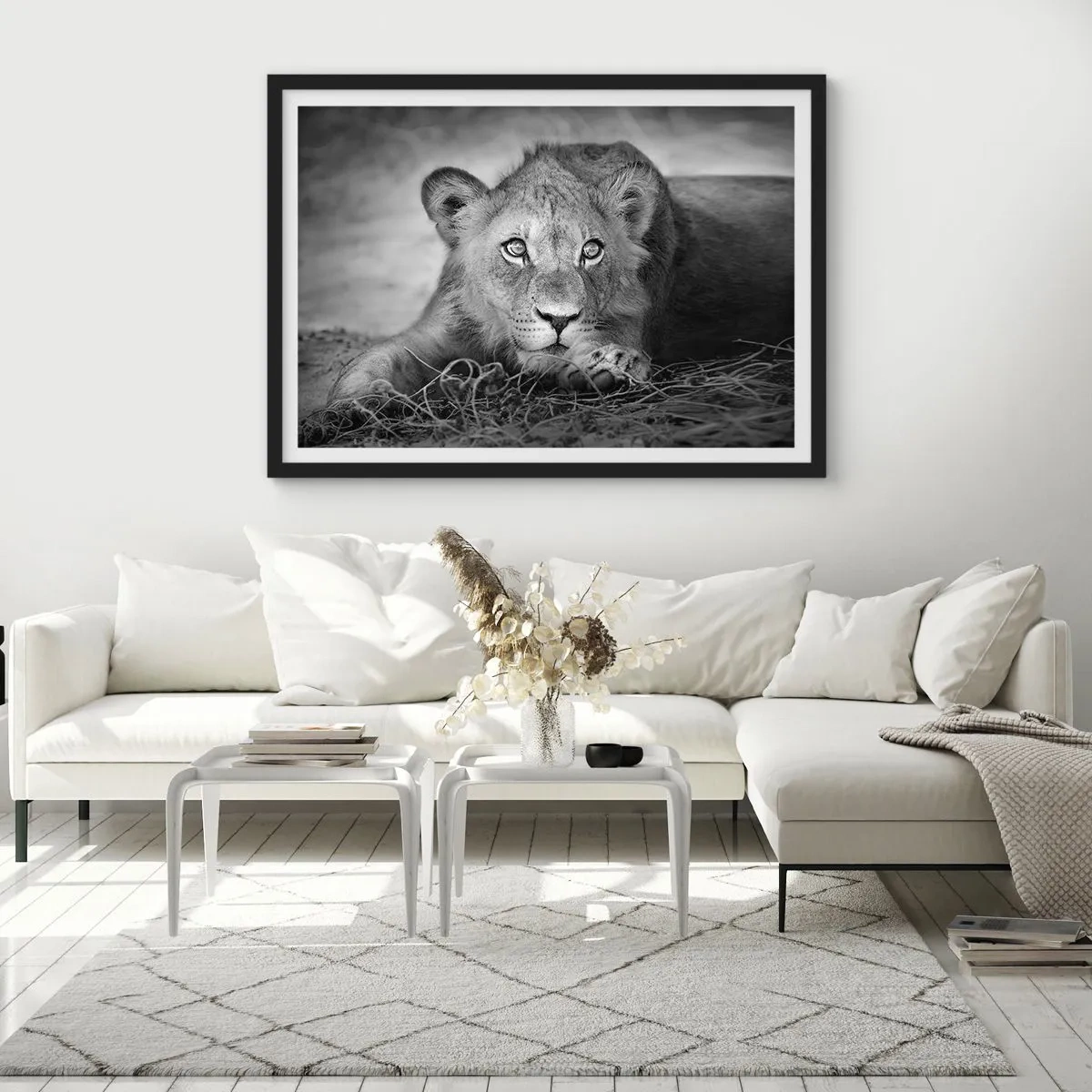 Poster în ramă neagră - Pisicuța regală - 70x50 cm