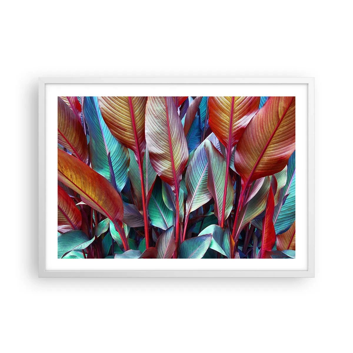 Poster în ramă albă - Tufiș colorat - 70x50 cm