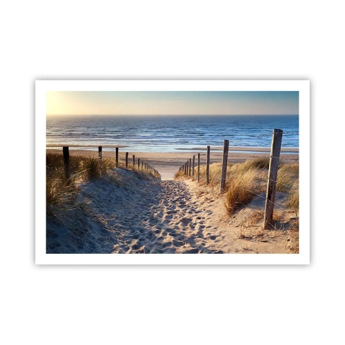 Poster - Zumzet de mare, o plajă sălbatică printre ierburi... - 91x61 cm
