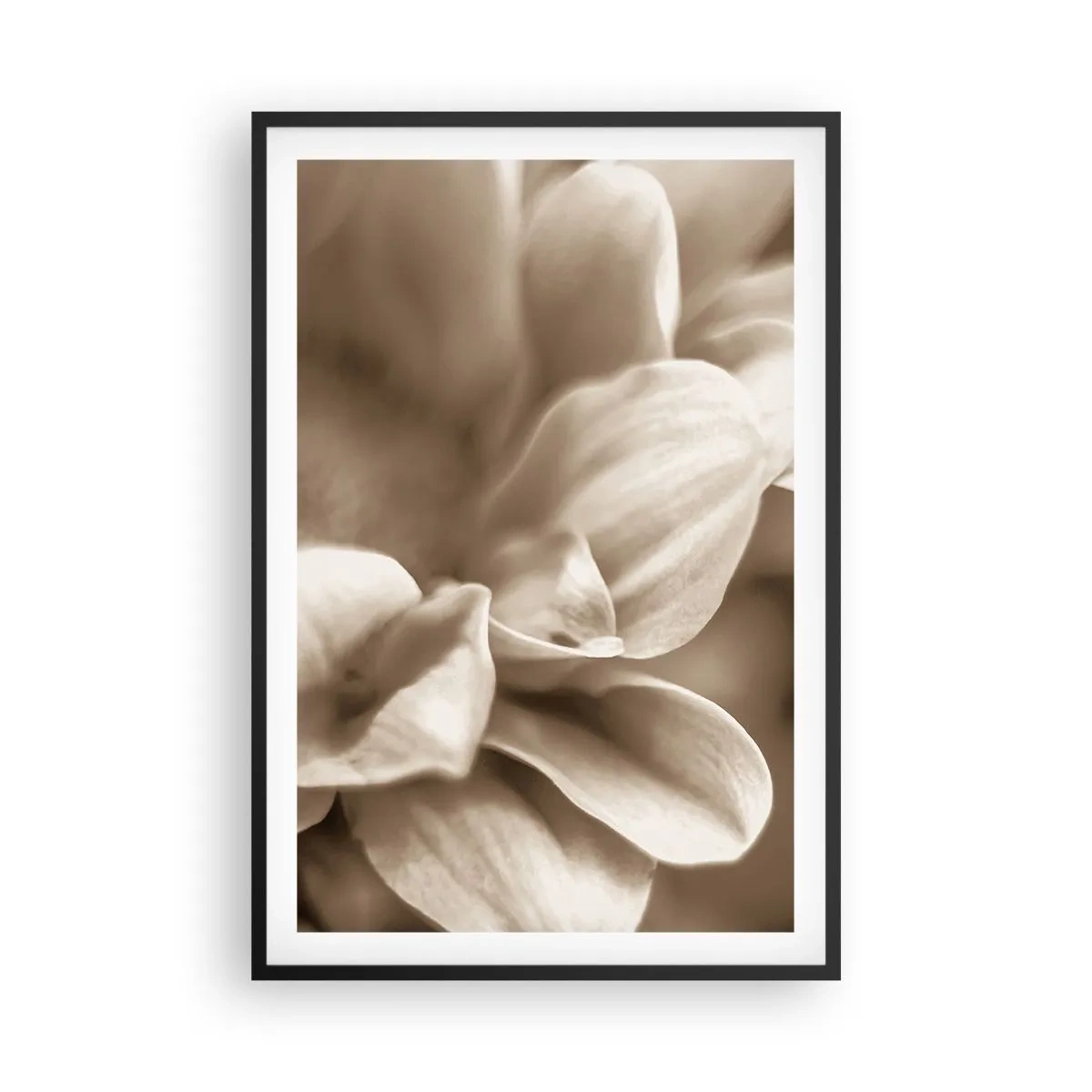 Poster în ramă neagră - Blânde ca un zâmbet - 61x91 cm