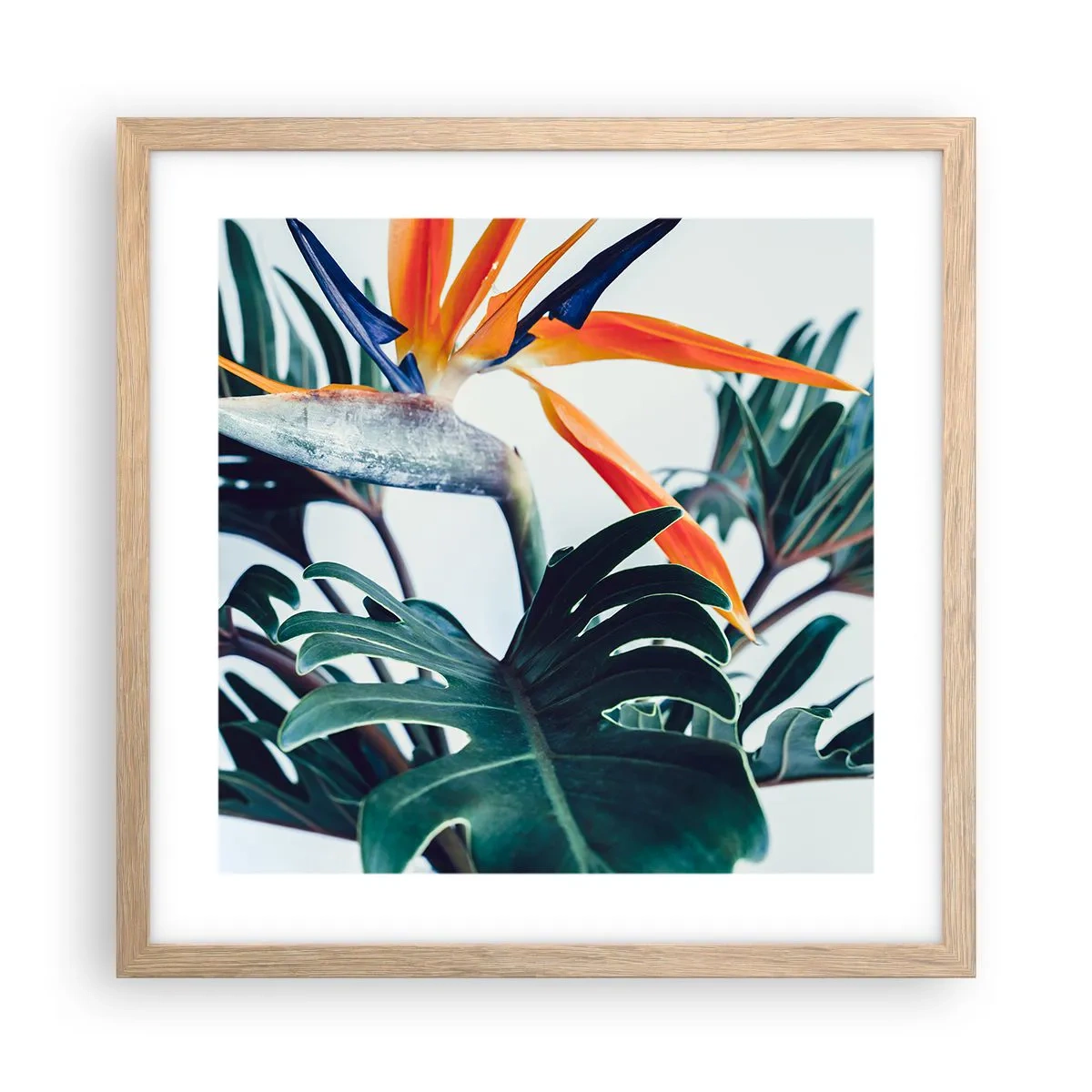 Poster în ramă de stejar deschis - Tufiș sau pasăre? - 40x40 cm