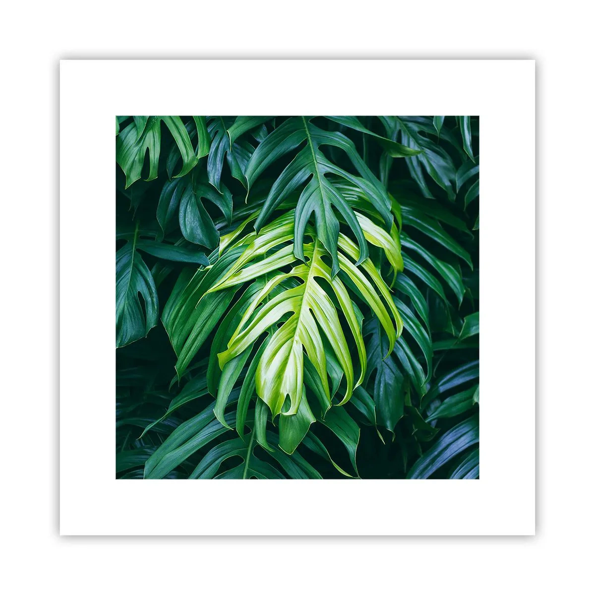Poster - Scufundă-te în prospețime - 30x30 cm
