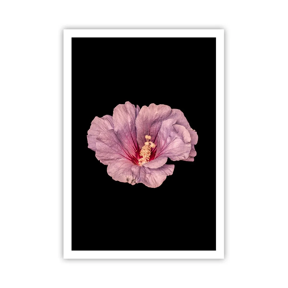 Poster - Direct la inimă - 70x100 cm