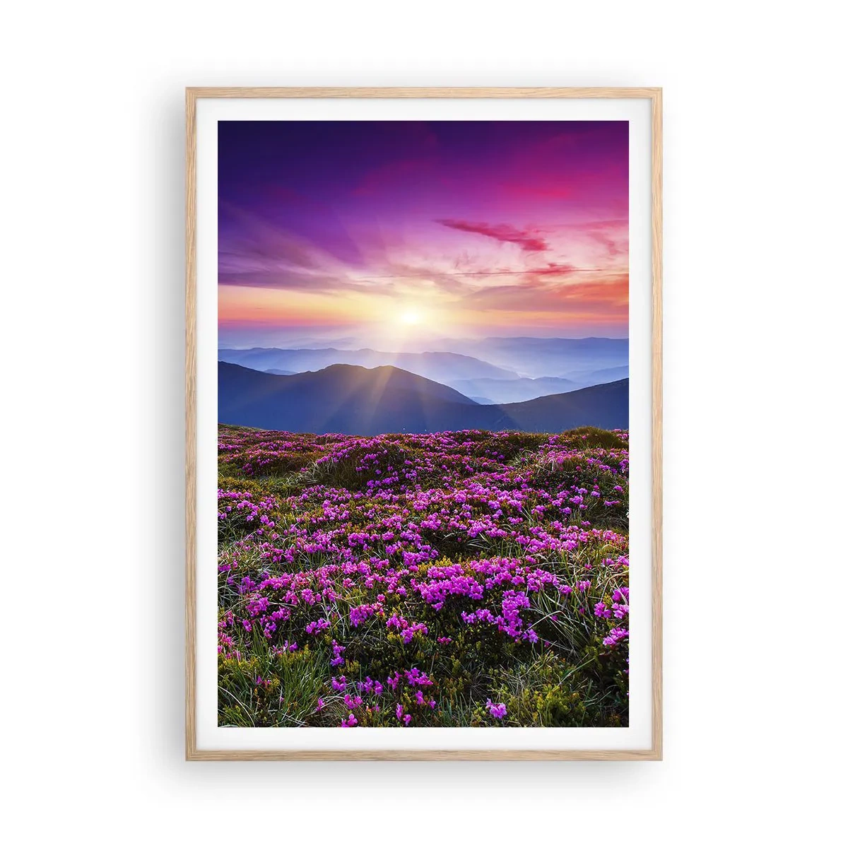 Poster în ramă de stejar deschis - Ierburile proaspete miroseau puternic - 70x100 cm