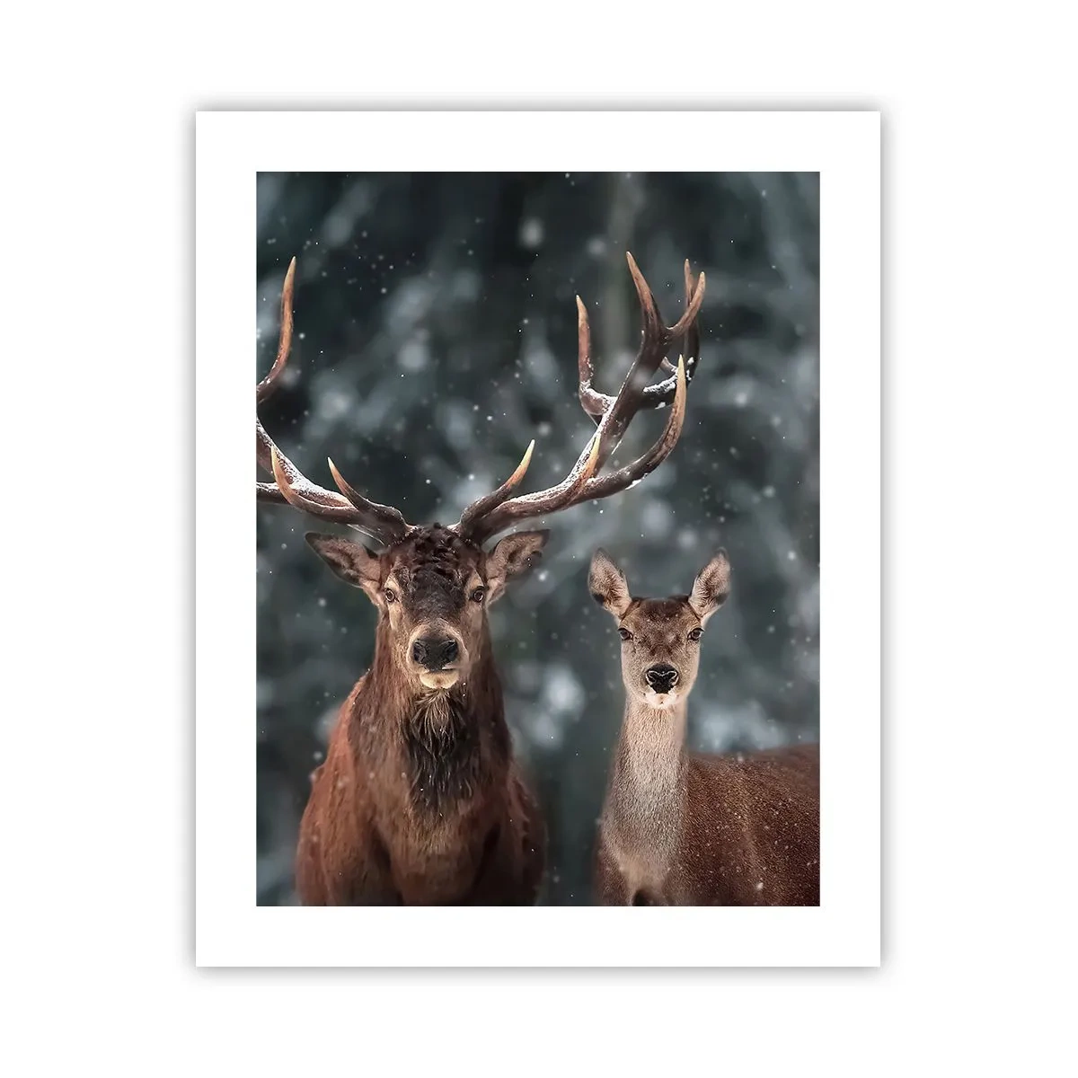 Poster - Stăpânul pădurii și soția sa - 40x50 cm