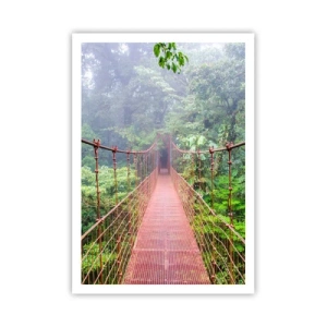 Poster - Suspendat deasupra coroanelor arborilor - 70x100 cm