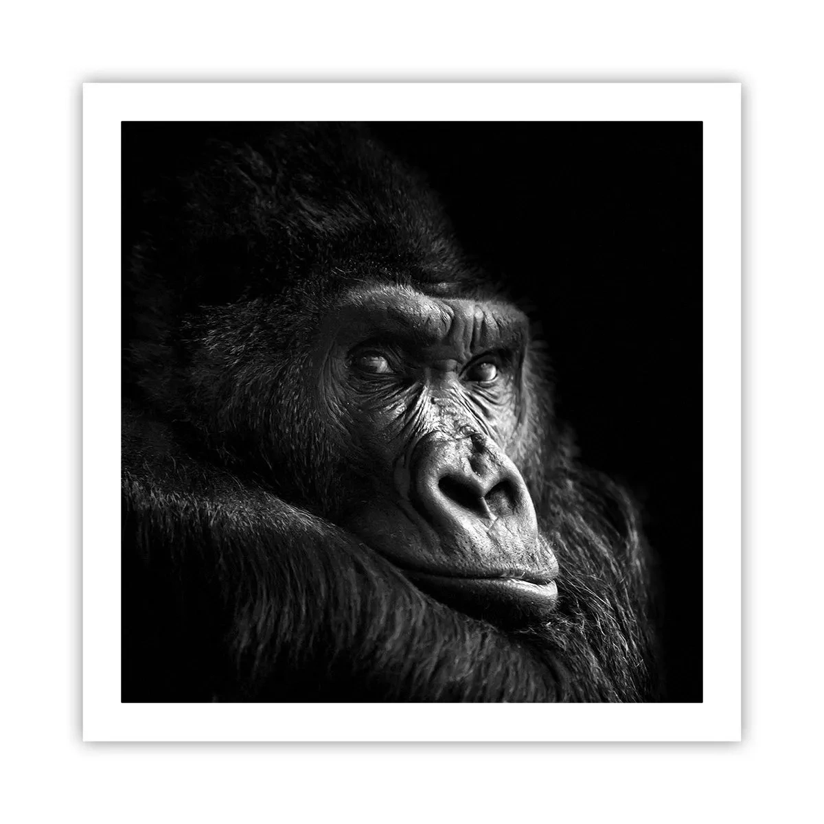 Poster - Și la ce te uiți? - 60x60 cm