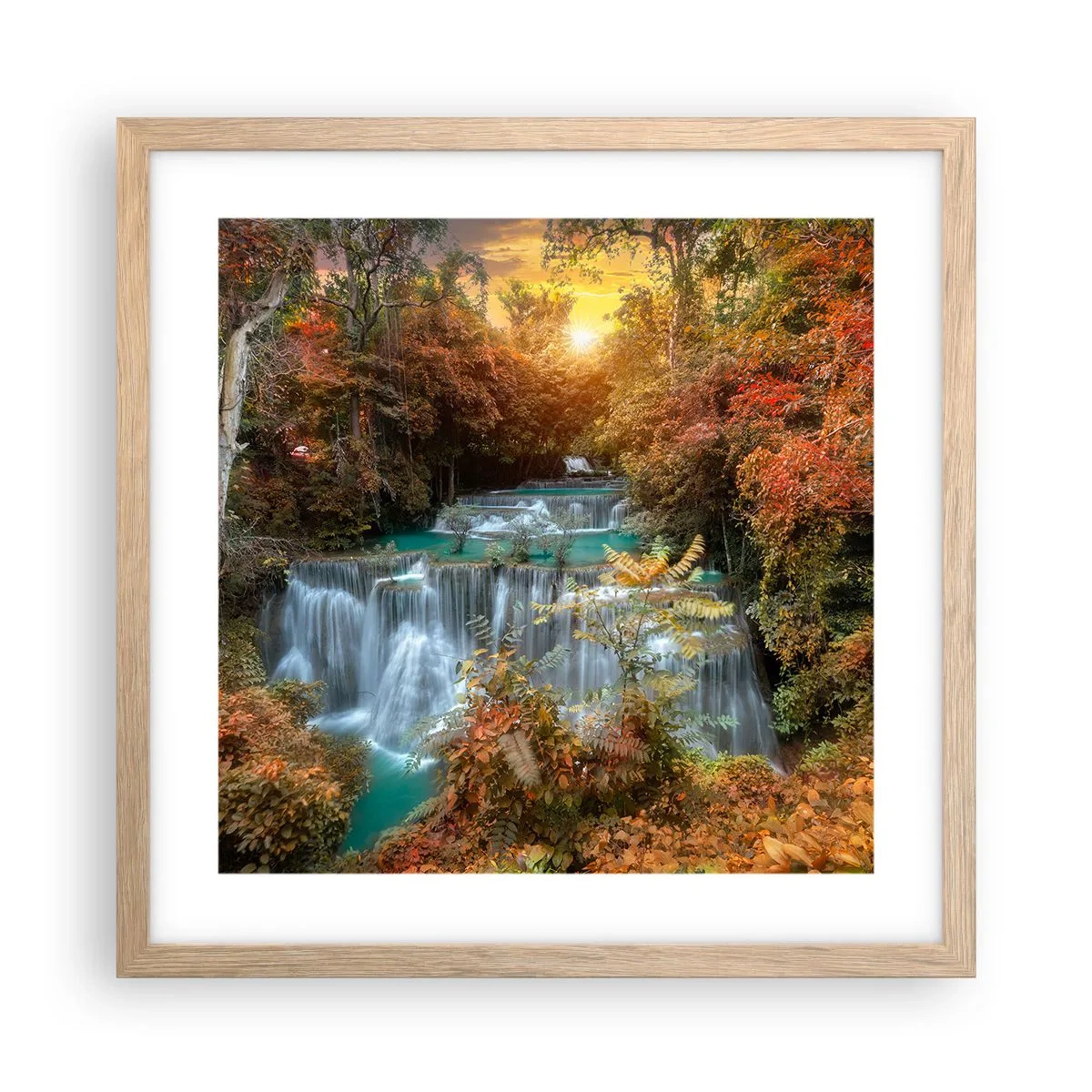 Poster în ramă de stejar deschis - Comoara ascunsă a pădurii - 40x40 cm