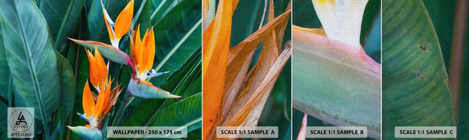 Mostră tapet Premium Canvas - Este o floare sau o pasăre? - Strelitzia Royal, Floare, Africa - 100x30 cm