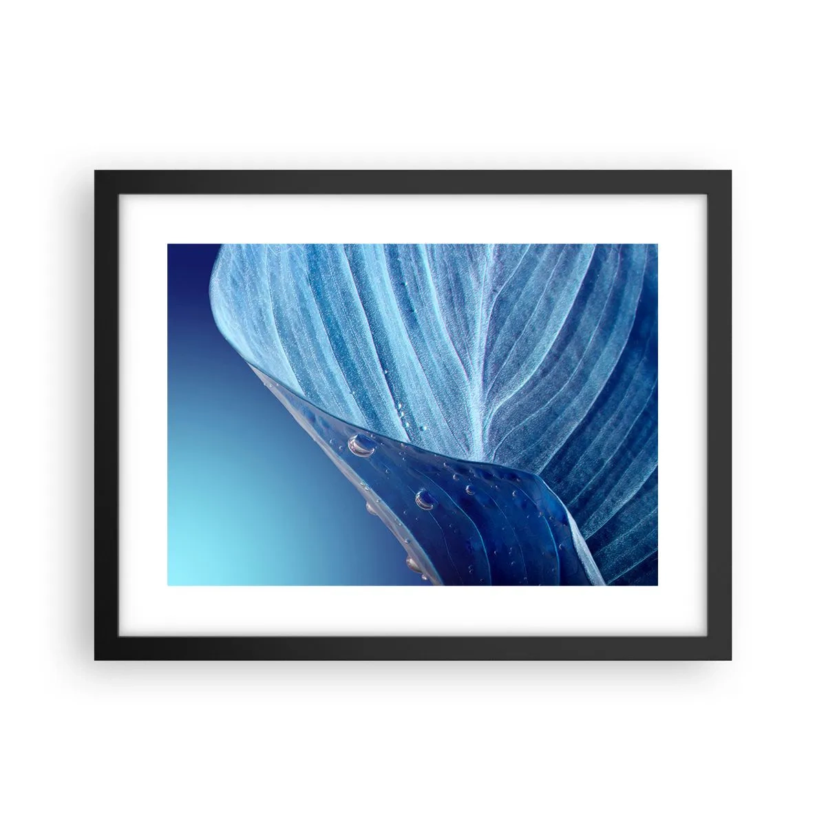 Poster în ramă neagră - Picături ascunse de albastru - 40x30 cm