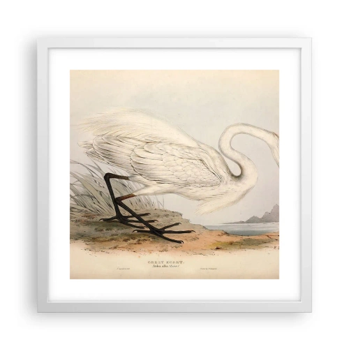 Poster în ramă albă - Doamna în stufărișuri - 40x40 cm