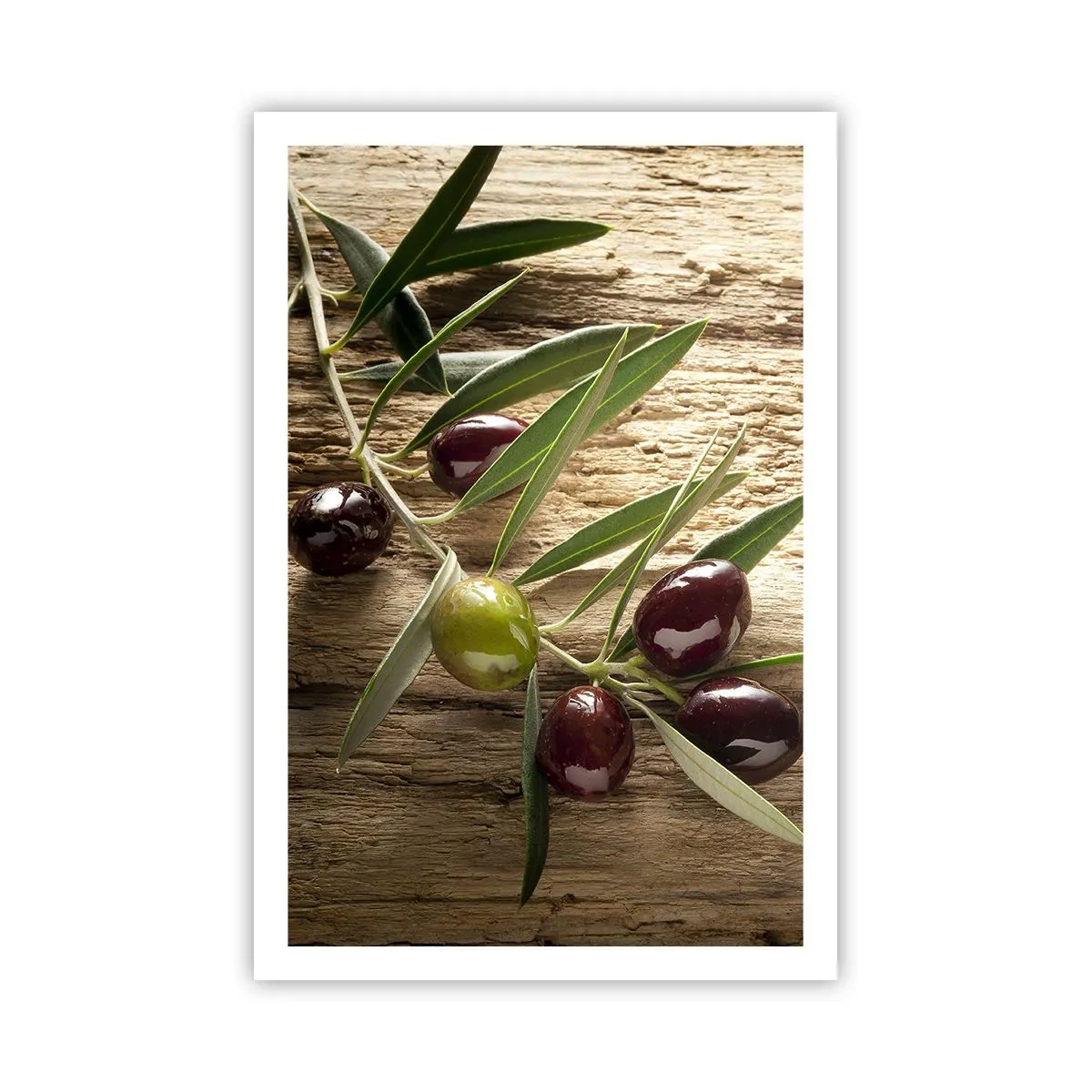 Poster - Direct din natură - 61x91 cm