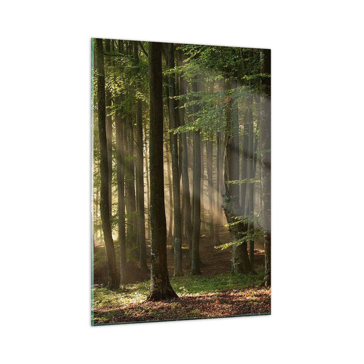 Tablou pe sticlă - Strălucitoare într-o dimineață de primăvară - 50x70 cm