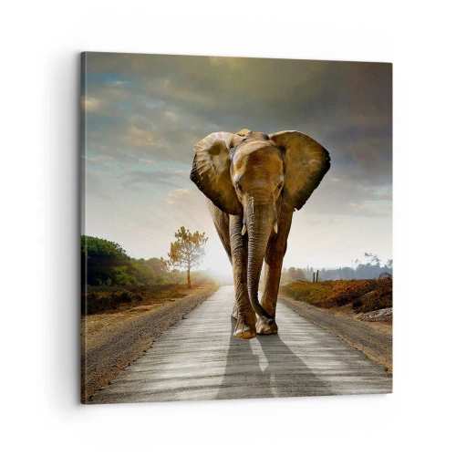 Tablou pe pânză - Și-a pierdut cipicii... - 60x60 cm