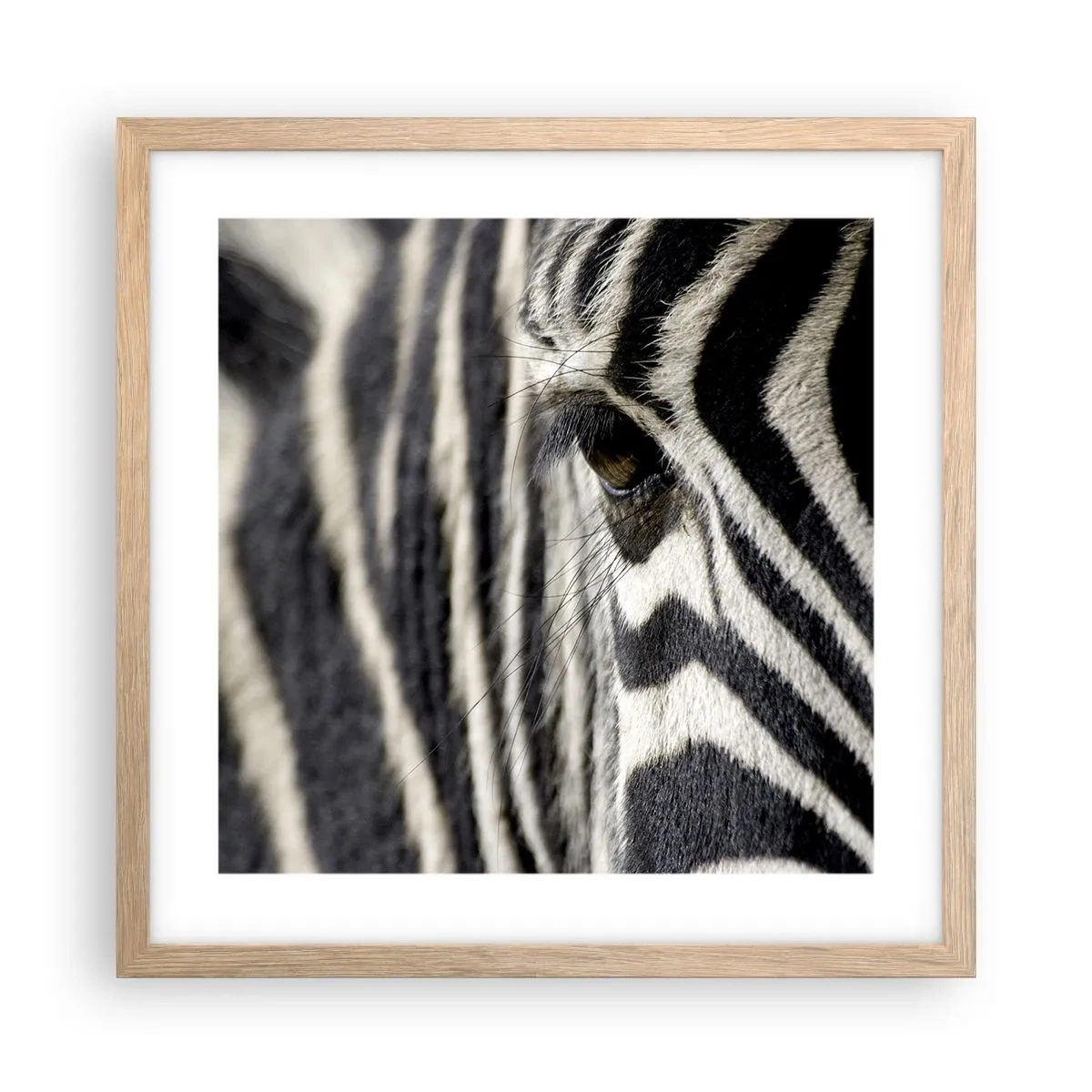Poster în ramă de stejar deschis - Portret cu dungi - 40x40 cm