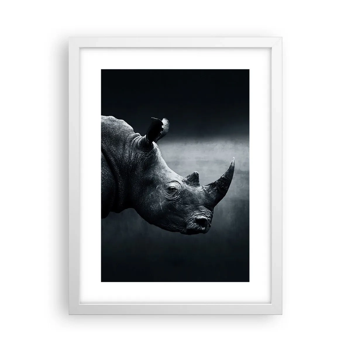 Poster în ramă albă - Profil drept - 30x40 cm