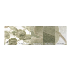 Mostră tapet Premium Sand - La început au fost frunzele... - Flori, Calm, Frunze - 100x30 cm