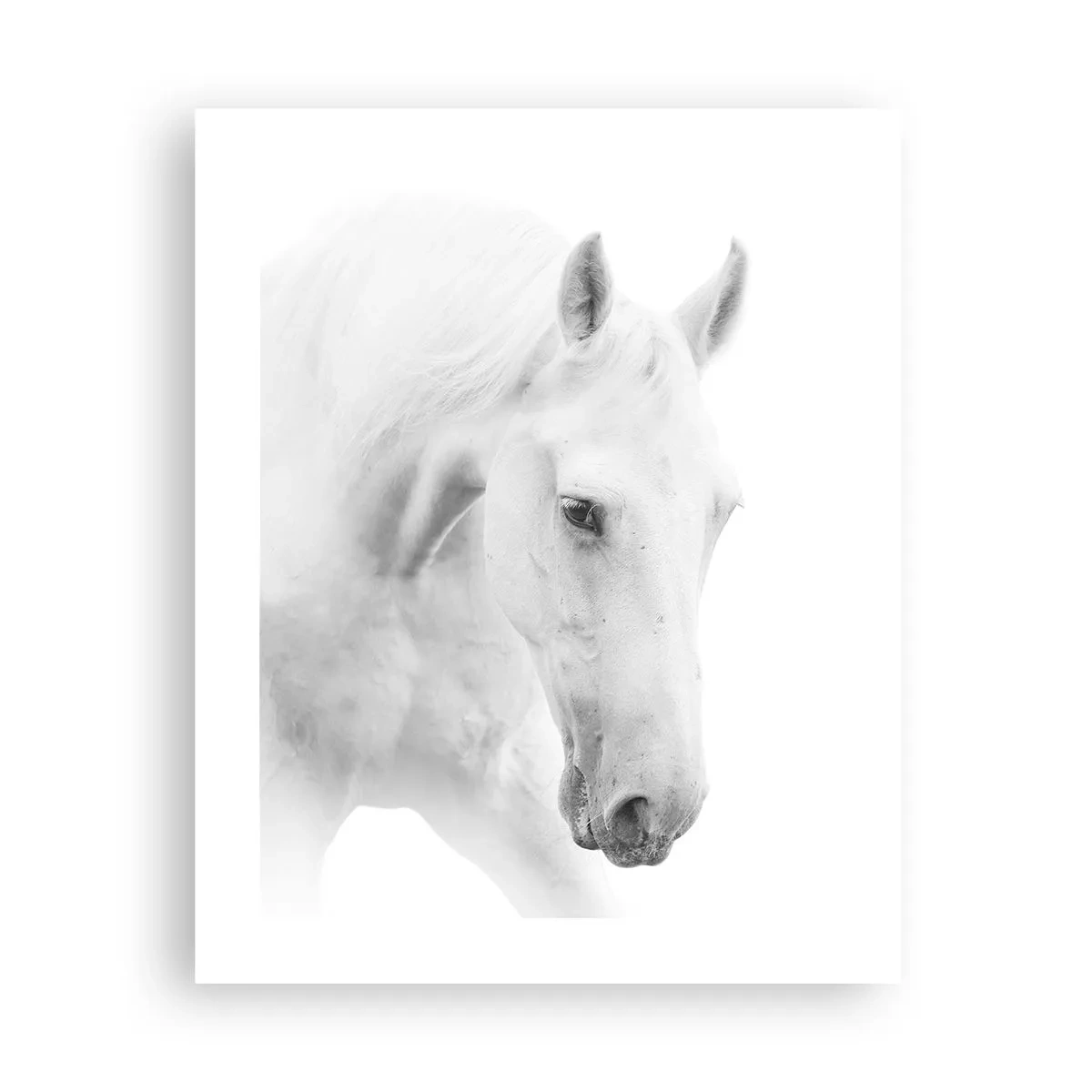 Poster - Este aceasta o prietenie...? - 40x50 cm