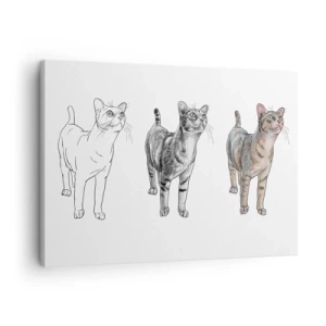 Tablou pe pânză Canvas - Evoluția desenului unei pisici de la schiță la formă colorată - 70x50cm - Lecție de desen - Decorațiune modernă pentru perete pentru living și dormitor ARTTOR