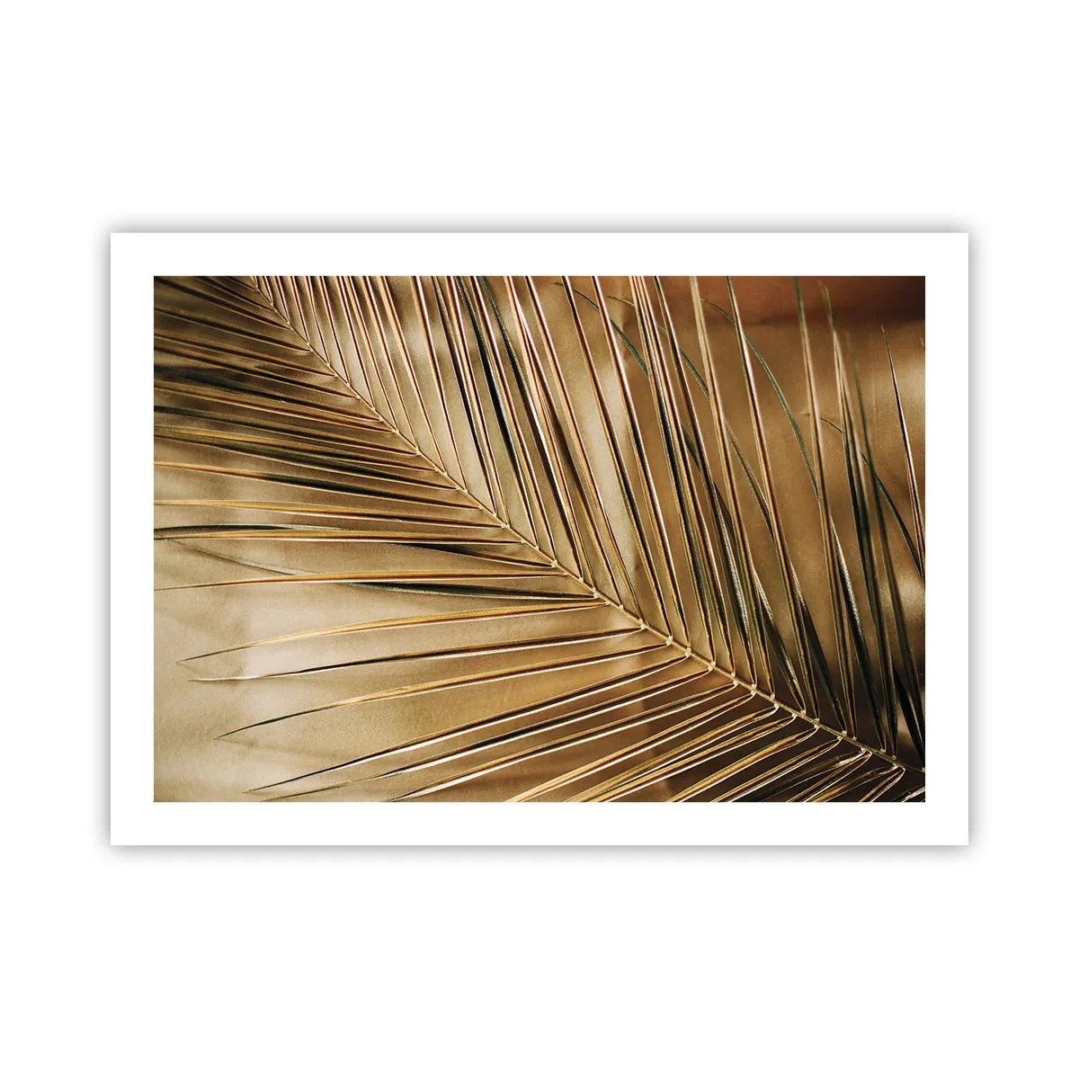 Poster - Colonadă naturală - 70x50 cm
