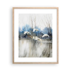 Poster în ramă de stejar deschis - Dansând cu lebedele sălbatice - 40x50 cm