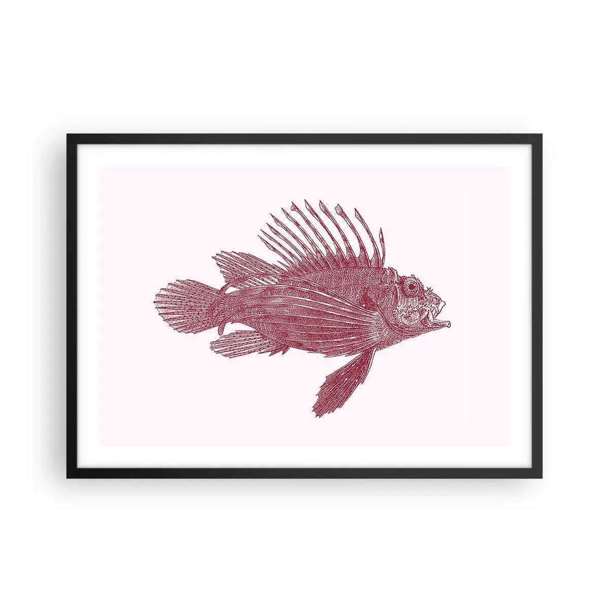 Poster în ramă neagră - Un locuitor al apelor exotice - 70x50 cm