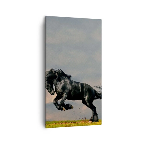 Tablou pe pânză - Frumos și liber - 45x80 cm