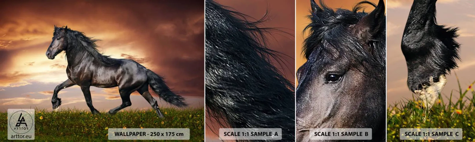 Mostră de Tapet Standard Eco - Prințul negru - Animale, cal arab, Peisaj - 100x30 cm