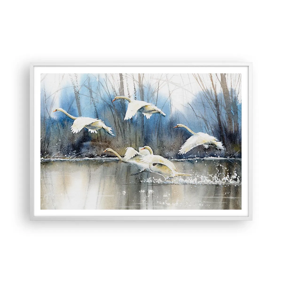 Poster în ramă albă - Dansând cu lebedele sălbatice - 100x70 cm