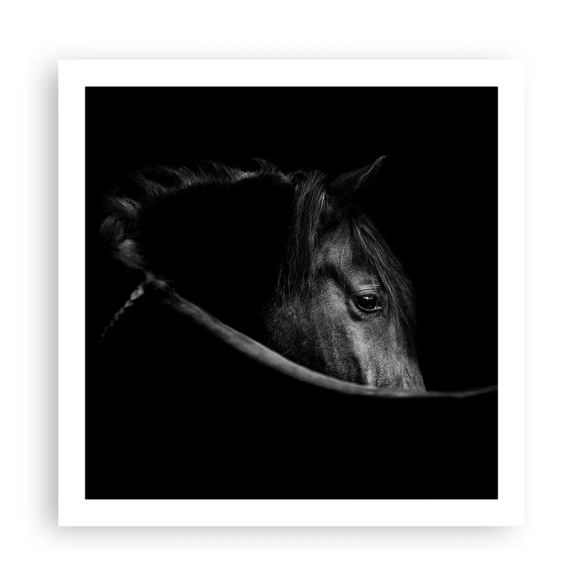 Poster - Prințul negru - 60x60 cm