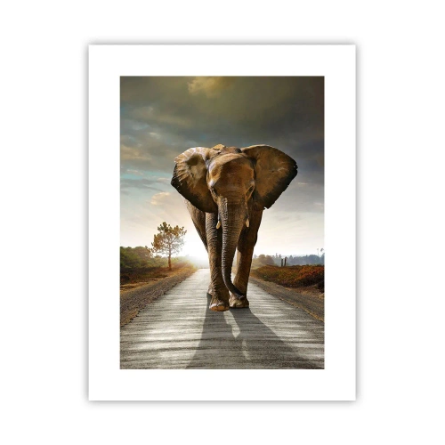 Poster - Și-a pierdut cipicii... - 30x40 cm