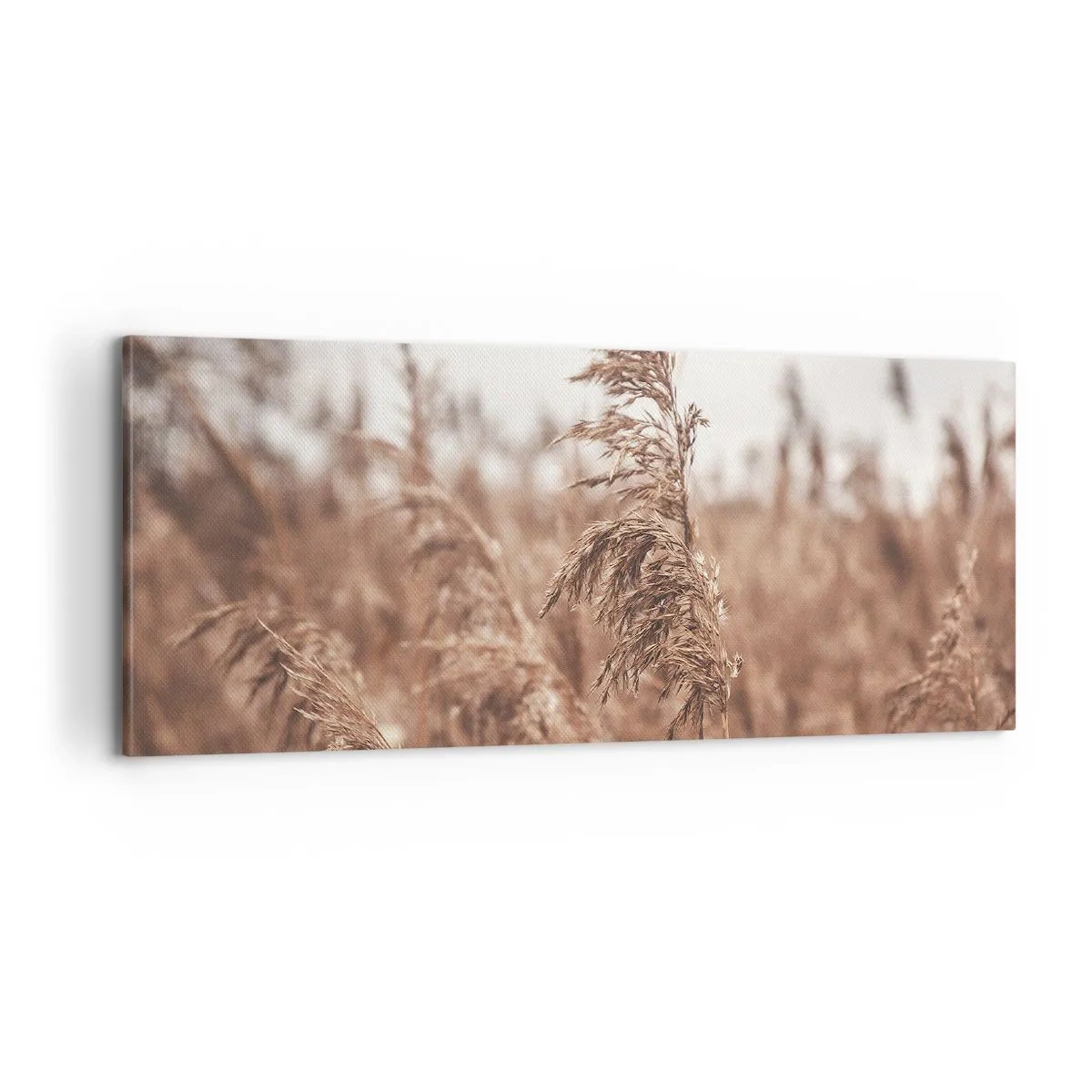 Tablou pe pânză - Toamna pe câmpuri - 100x40 cm